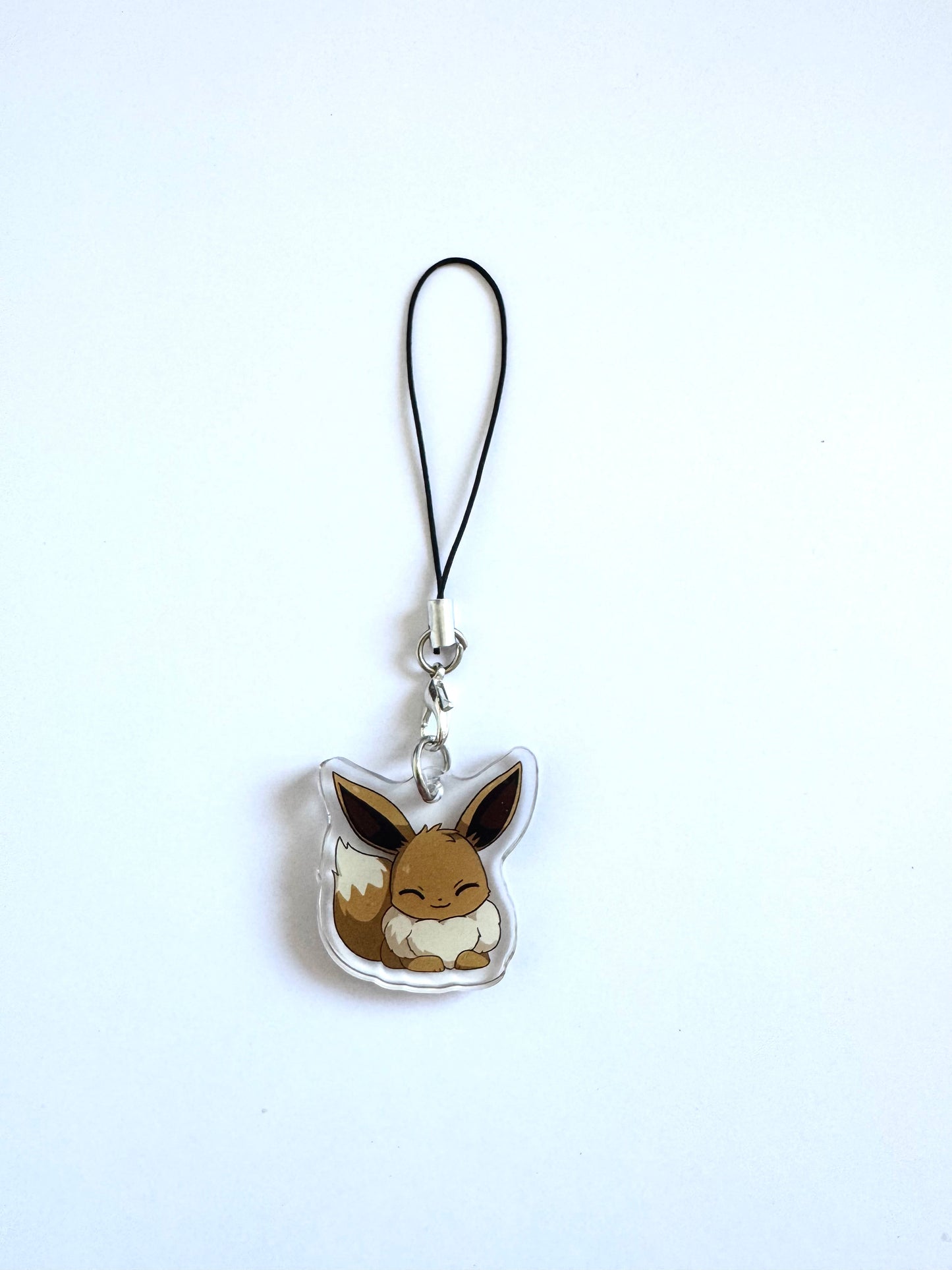 CHARMS EVOLI