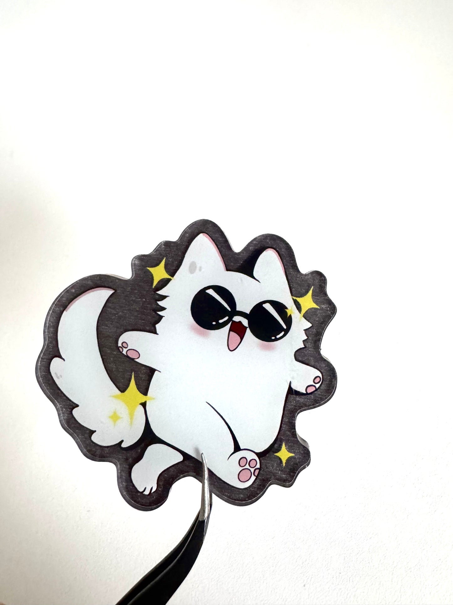 MAGNET GOJO CHAT